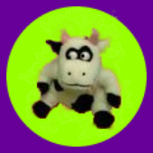 moogal-the-cow için avatar