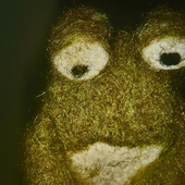 Avatar for FrogBeforeHuman