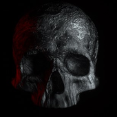 Blkskulz 的头像