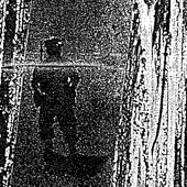 0017514175_10.jpg