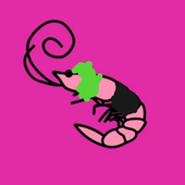 Avatar for takifajnysznur