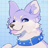 midwestwoofs 的头像