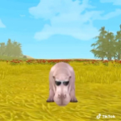 Avatar für O1gasm