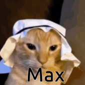 Avatar for PixelMaxi_