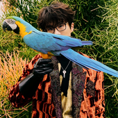 cover.png