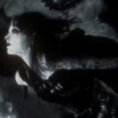 messyvenusfly 的头像