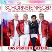 Die Schornsteinfeger.jpg