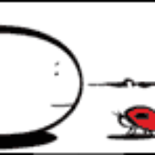 Avatar for nutshell