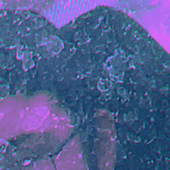 quid_00 的头像