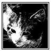 Avatar for Wolhaar
