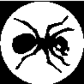 Avatar for tyreymo