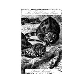 Secret Animals