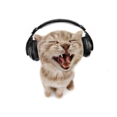 Avatar for ruby_1006