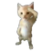 borbi1 的头像