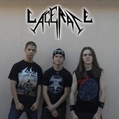 Lacerate