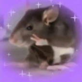 lvkhss 的头像