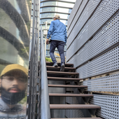 marcoliodls 的头像