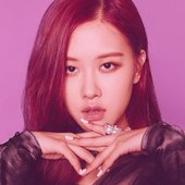 Rosé