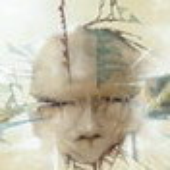 Avatar for Varyar