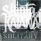 Solitary (feat. Frank Palmeri) - Single