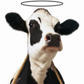 Avatar for HolyBeef