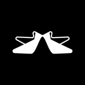 asvanyviz2 signature logo