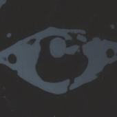 Avatar for weyant