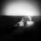one last walk