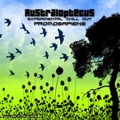 Australoptecus - Promosapiens - 2008