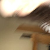 Avatar for ossurhpets