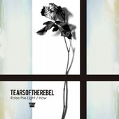 Raise the Light / How - Single