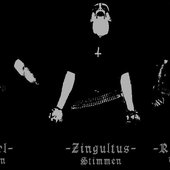 Aktuelles Bandfoto