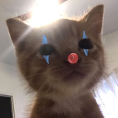 schoenzooltjuh 的头像