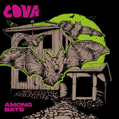Foto da Capa do Album Among Bats
