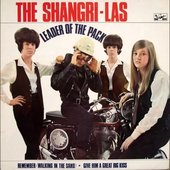 The Shangri-Las - Leader Of The Pack