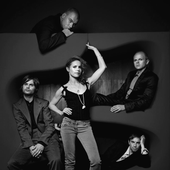  The Cardigans