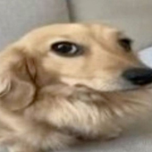 Frikr__ 的头像