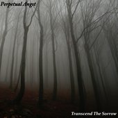Transcend The Sorrow