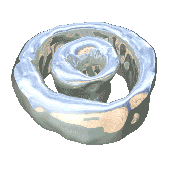 evdocia 的头像