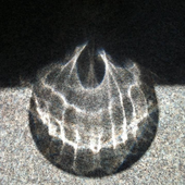 BR_PNG_04.png