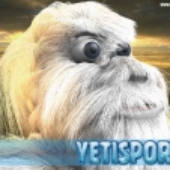 Avatar for YetiMaster