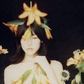 BoyOfCelluloid 的头像