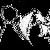 3540496421_logo.jpg