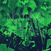 Avatar for NothingSounds