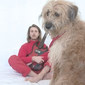 Shy Dog, 2020