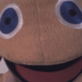 Avatar för zippy72