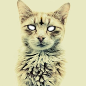 Avatar for Infernal55
