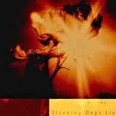 Sleeping Dogs Lie