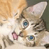 Avatar for ilovegarages