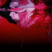 In the Overtone